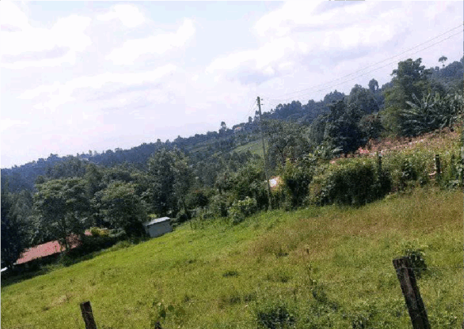 Kapketeinya-plots
