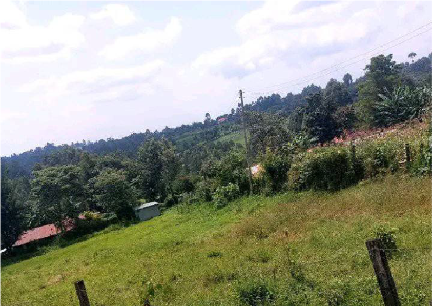 Kapketeinya-plots