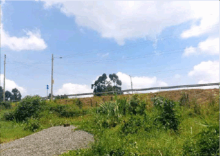 Kapketeinya-plots_2