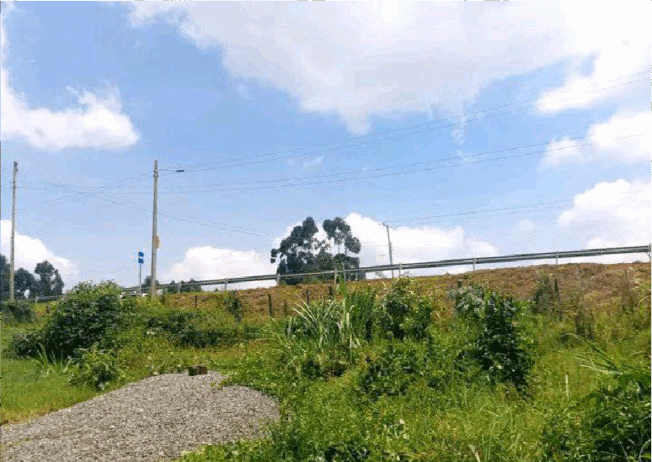 Kapketeinya-plots_2