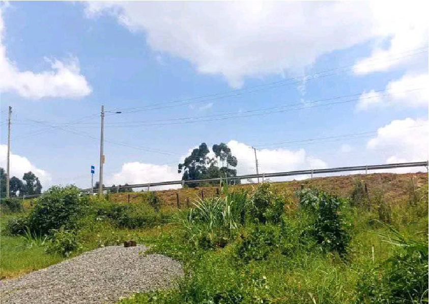 Kapketeinya-plots_2